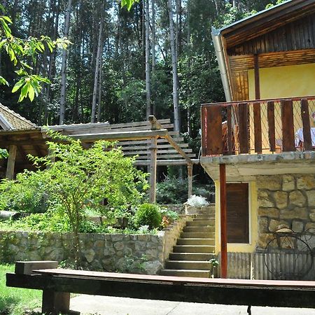 Apartments Borove Noci Rednek Kültér fotó