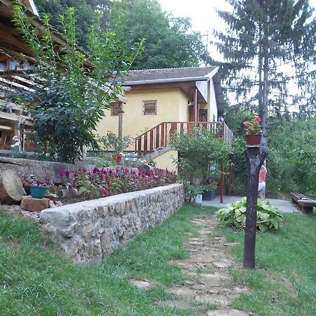 Apartments Borove Noci Rednek Kültér fotó