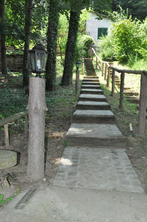 Apartments Borove Noci Rednek Kültér fotó