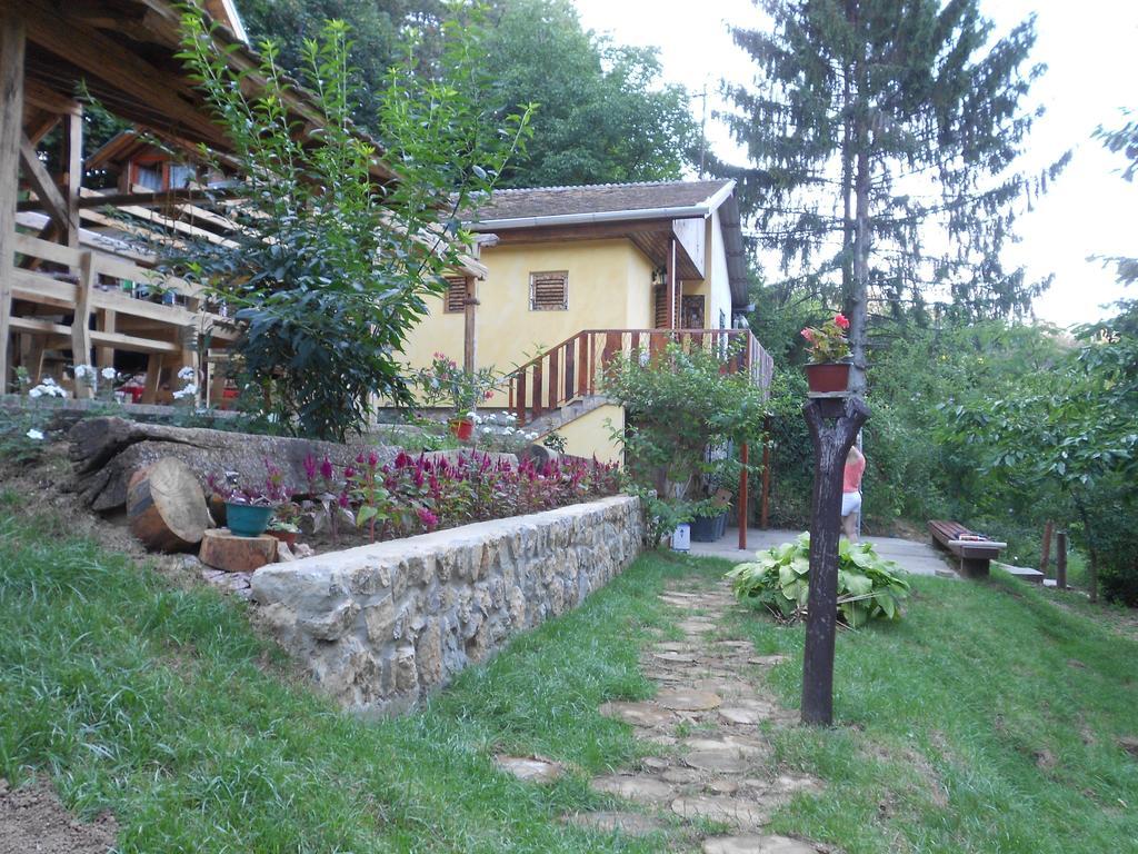 Apartments Borove Noci Rednek Kültér fotó